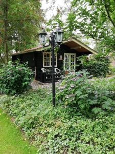 a house with a street light in front of it at Zizania in Noord-Sleen