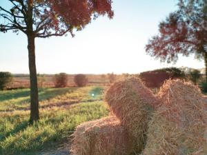 Fotografie z fotogalerie ubytování Locanda Acervum v destinaci Cervia