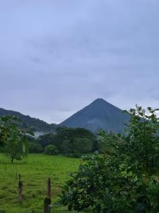 een groen veld met een berg op de achtergrond bij Tío Felix Eco Lodge in Fortuna