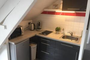 uma pequena cozinha com um lavatório e um micro-ondas em Appart Cosy Annœullin - Proche toutes commodités em Annoeullin