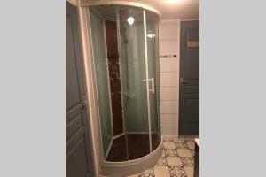 a shower with a glass door in a bathroom at Appartement ST Roch in Salins-les-Bains