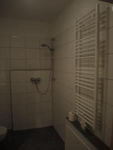 a bathroom with a shower and a toilet in it at Wohnwerk41 in Schwäbisch Hall