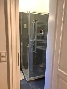 a shower with a glass door in a bathroom at Modern comfort in historical Budapest in Budapest