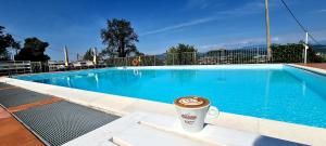 Bazén v ubytování Hotel New Genziana nebo v jeho okolí
