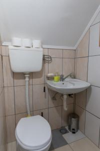 a bathroom with a toilet and a sink at Bogu iza nogu 2 in Bajina Bašta
