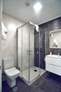 La salle de bains est pourvue d'une douche, de toilettes et d'un lavabo. dans l'établissement Apartamento Las Perdices, à Pontevedra