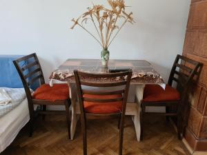 una mesa de comedor con sillas y un jarrón. en Aurora vendégház, en Sfântu-Gheorghe