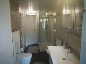 La salle de bains est pourvue d'un lavabo, de toilettes et d'une douche. dans l'établissement Chalet Herenhuet, à Brienz