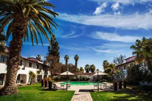 una palmera junto a una casa con piscina en Garden Court Polokwane, en Polokwane