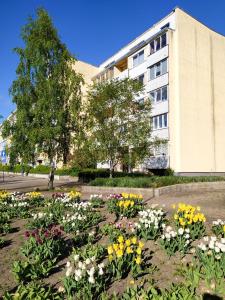 un jardín de flores frente a un edificio en SUNSET Apartment Near Sea - family friendly space with bath and good coffee en Ventspils