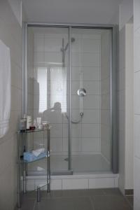 a shower with a glass door in a bathroom at Quartier an der Elbe in Dresden