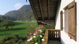Ein allgemeiner Bergblick oder ein Berglick von des Bauernhofs aus