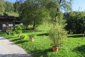 Ein Garten an der Unterkunft Ferienwohnung Leitner