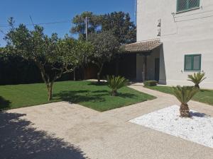 einen Hof mit Bäumen und einem Gebäude in der Unterkunft La Rosa Casa Vacanze Sabaudia in Sabaudia