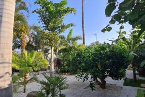 Fotografie z fotogalerie ubytování Tropical Paradise Villa in Torrevieja v destinaci Torrevieja