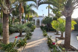 uma casa com palmeiras em frente em Tropical Paradise Villa in Torrevieja em Torrevieja