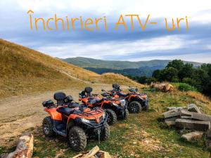 a group of four atvs parked on a hill at Vila Alunis in Buşteni