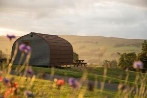 a barn in the middle of a field with flowers at Wild Northumberland Glamping in Hexham