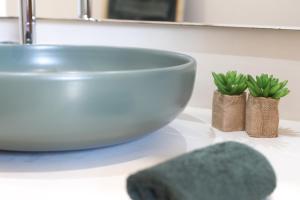 a bowl on a counter with two plants in it at Chambre d'hôtes A Vadina Porticcio in Porticcio