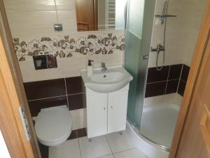 a bathroom with a toilet and a sink and a shower at Ośrodek Agroturystyka "u Chlipały" in Ochotnica Górna
