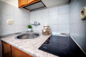 Kuchyň nebo kuchyňský kout v ubytování Apartment Casa Banko