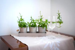 Fotografie z fotogalerie ubytování Apartment Casa Banko v Rovinji