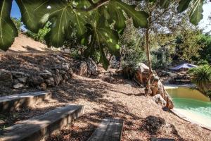 a backyard with a swimming pool and a tree at Chambre d'hôtes A Vadina Porticcio in Porticcio