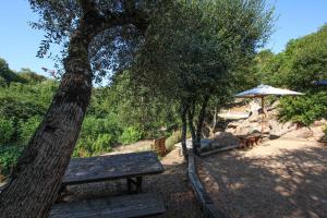 a picnic table and an umbrella next to a tree at Chambre d'hôtes A Vadina Porticcio in Porticcio