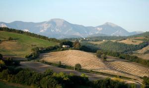 a road in a field with mountains in the background at Casa dei Sogni d'Oro in San Pietro