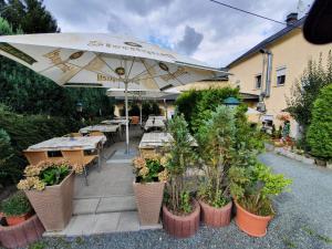 un patio con mesas, sombrilla y plantas en Pension Goldener Drache en Hohekreuz