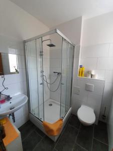 a bathroom with a shower and a toilet and a sink at Pension Goldener Drache in Hohekreuz