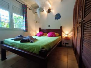 Schlafzimmer mit einem Bett mit grüner Bettwäsche und rosa Kissen in der Unterkunft le colibri ble in Sainte-Anne