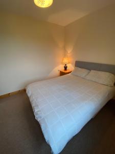 Un dormitorio con una cama azul con una lámpara. en Castlebaldwin Country Residence en Sligo