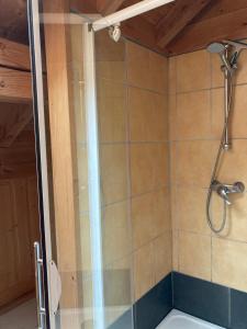 a shower with a shower head in a bathroom at Les deux loups in Samoëns