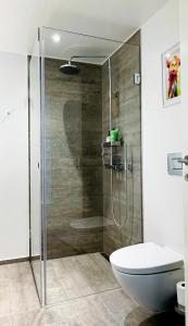 a bathroom with a glass shower with a toilet at ApartmentInCopenhagen Apartment 1460 in Copenhagen