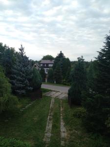 a road in the middle of a yard with trees at Siedlisko Pauza in Kozłów