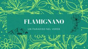 Fotografie z fotogalerie ubytování Flamignano: un paradiso nel verde v destinaci Tossicia