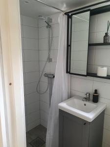 a bathroom with a sink and a shower with a mirror at Skogsbäckens stugby AB in Tomelilla +43 photos
