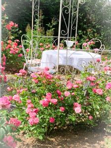 Vrt pred nastanitvijo Isabelle's Rosegarden