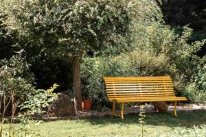 un banco de madera sentado en la hierba bajo un árbol en Merveilleuses chambres d'hôtes à Panazol, en Panazol