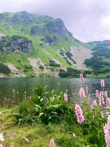 a view of a lake and mountains with pink flowers at Penzión u Komu Žaškov, okres Dolný Kubín in Žaškov