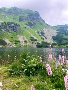 vistas al lago y a las montañas con flores rosas en Penzión u Komu en Žaškov
