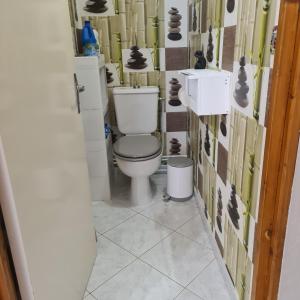 a bathroom with a toilet and a sink at Appartement au cœur du Haut-Jura in Villard-Saint-Sauveur