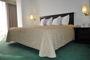 サカテカスにあるArroyo Expressのホテルルーム内の大型ベッド