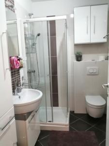 a bathroom with a shower and a toilet and a sink at Sun & Love Apartment in Koper