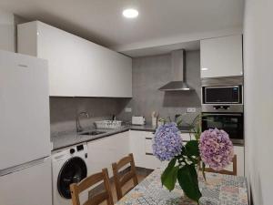 Kuchyňa alebo kuchynka v ubytovaní b Apartamentos Diego