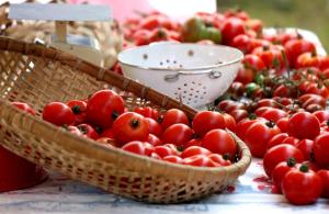 Cibo presso il lodge o nelle vicinanze