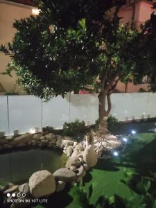 a swimming pool with a tree in a building at Albero della vita in Spotorno