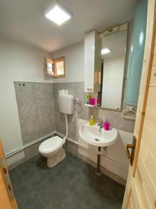 een badkamer met een toilet en een wastafel bij Etno selo Raković in Ivanjica