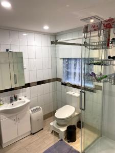 a bathroom with a toilet and a sink and a shower at Self Contained En-Suite Private Bathroom, Private Entrance, Close to Shops & Hospital Homestay in Hamilton